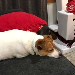 Meet your Posher, Mindy